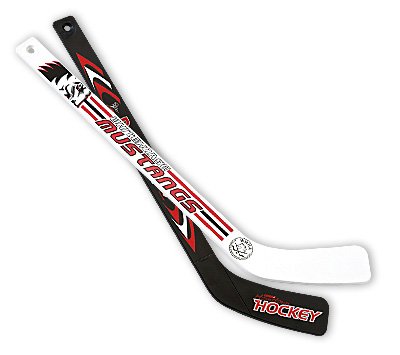 17-1/2 hockey stick (player)