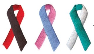 1 3/8 Embroidered Ribbon Appliques - Two-Tones