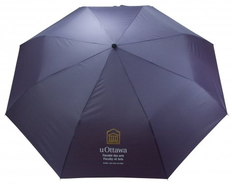 Automatic deluxe mini umbrella with curved wooden handle - 39 #RushExpress72hrs