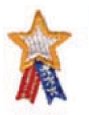 Embroidered Stock Appliques - Star w/ Ribbon