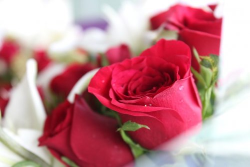 Flowers Roses Bouquet Love - 901146189