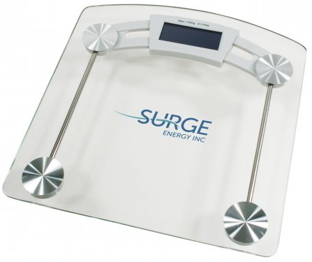 Personal health scale #RushExpress72hrs
