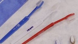6-5/8 Adult Toothbrush