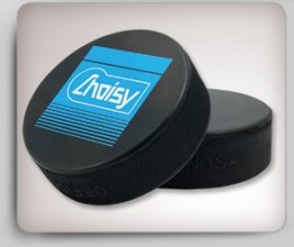 Hockey Puck - Digital Printing