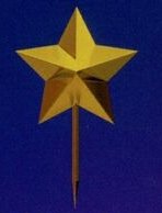 Star Pick Wand