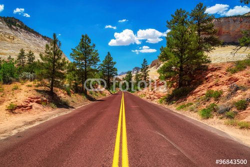 American road in Zion National Park, Utah - 901150407