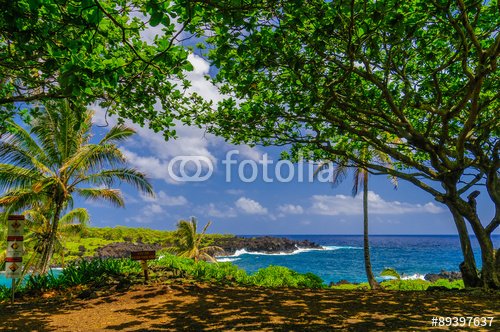 Spectacular ocean view on the Road to Hana, Maui, Hawaii, USA - 901150412