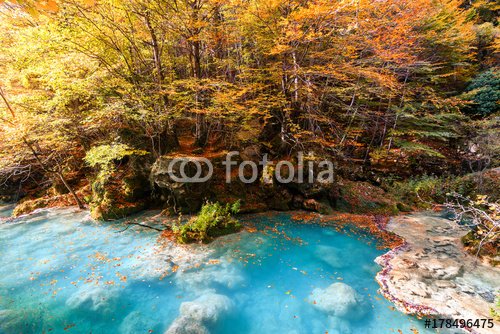 colorful autumn landscape at urederra source, Spain - 901150677