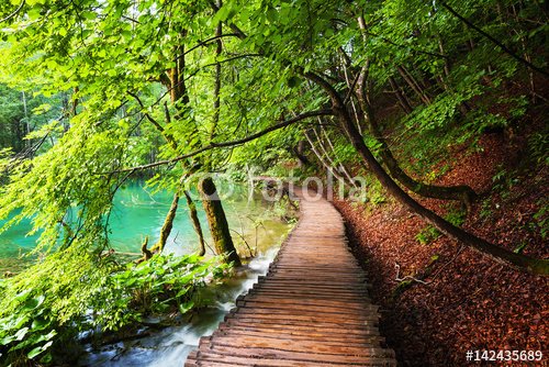 Plitvice lakes park in Croatia. - 901150840