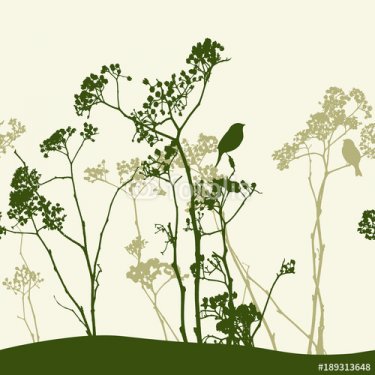 Silhouettes of wildflowers and birds - 901150774