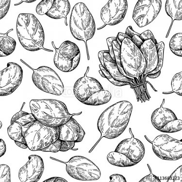 Spinach bunch and leaves hand drawn vector seamless pattern. Iso