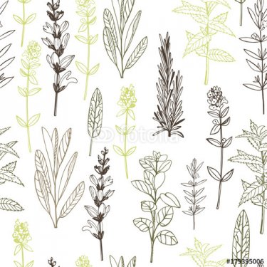 Vector seamless pattern. with hand drawn herbs. - 901150893