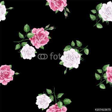Rose flowers, petals and leaves in watercolor style on black background. Seam... - 901151060