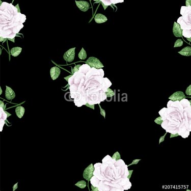 Rose flowers, petals and leaves in watercolor style on black background. Seam... - 901151061