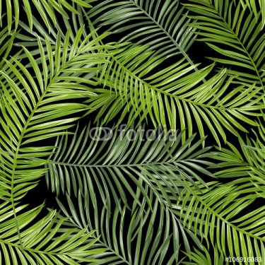 Seamless Pattern. Tropical Palm Leaves Background. Vector Background