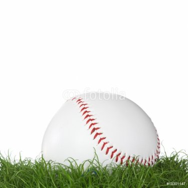A baseball ball in the grass