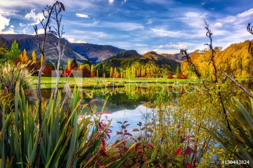 A Beautiful Pond in Rural New Zealand one Autumn - 901149334