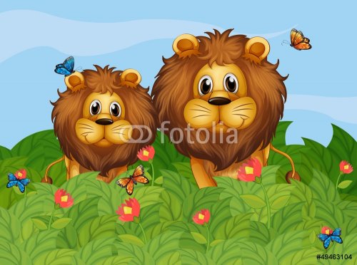 A big and a young lion in the garden - 901137828