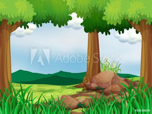 A green forest with rocks