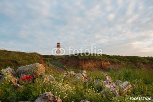 A lighthouse on a hill, flowers on a slope in the early morning.
 - 901151159