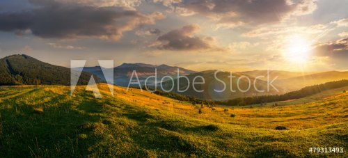 agricultural field in mountains at sunset - 901144596