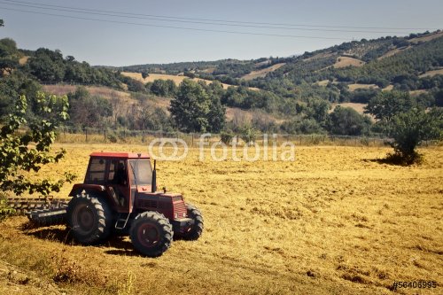 agriculture - 901148837