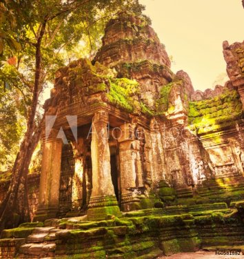 Angkor - 901141588