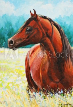 Arabian horse acrylic painted.