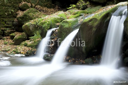 Autumn forest waterfall - 901140077