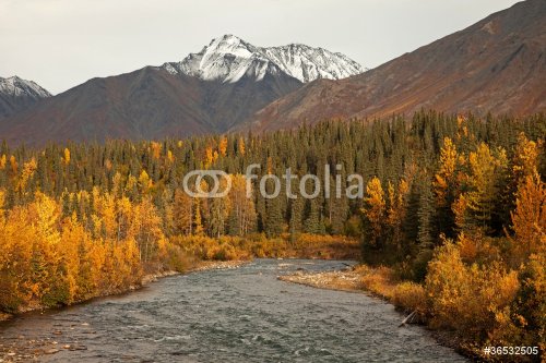 Autumn in Alaska - 900150270