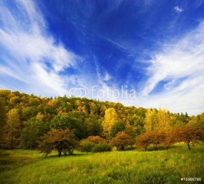 Autumn landscape - 901138043