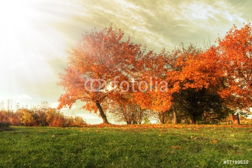 Autumn landscape - 901141496