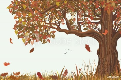 Autumn landscape with oak tree  - 901146622