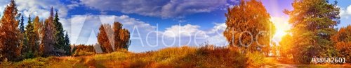 Autumn panoramic landscape with mixed forest - 900243925