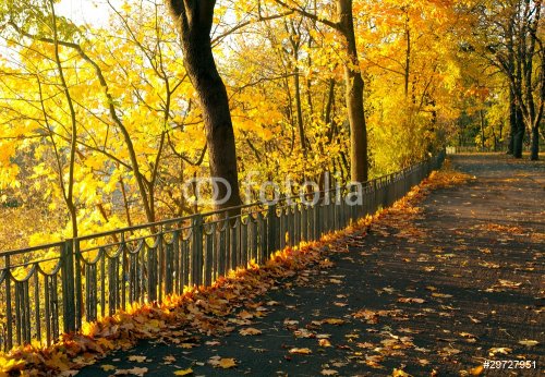 Autumn park - 900673695