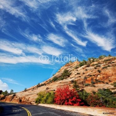 Autumn road - 901143717