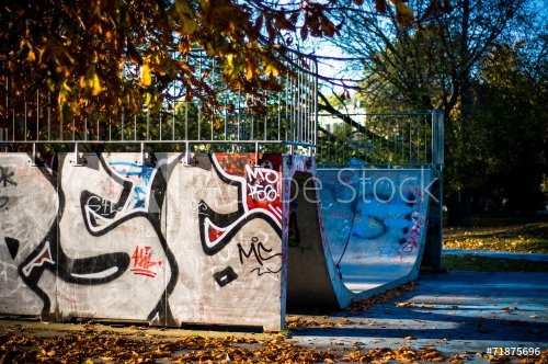 Autumn skate - 901144477