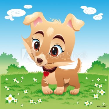 Baby dog in the meadow - 900455776