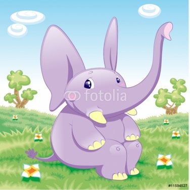 Baby Elephant - 900455809