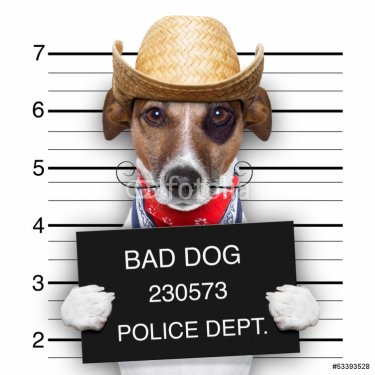 bad mexican dog - 901141991
