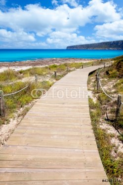 Balearic Formentera island wood beach way - 901141400