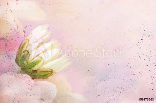 beautiful artwork with delicate chamomile's flower - 901143054