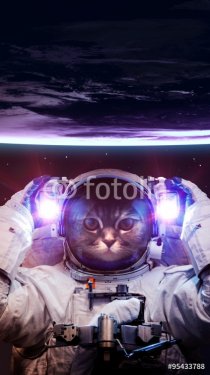 Beautiful cat in outer space. Elements of this image furnished by NASA - 901147157