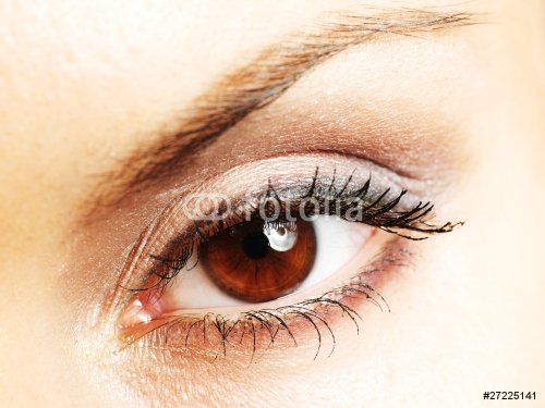 Beautiful Eye of Woman