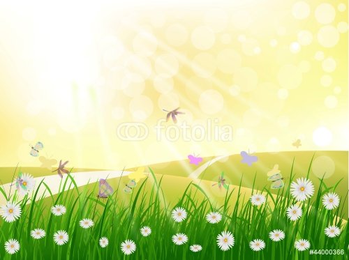 beautiful grass and daisy flower with landscape background - 900949541