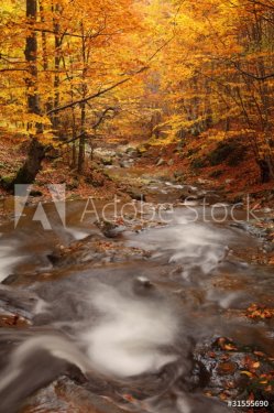 beautiful waterfall in forest, autumn landscape - 900375194