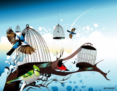 birds flying away from their cages - 900485436