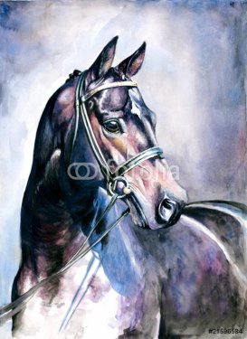 Black horse watercolor painted.