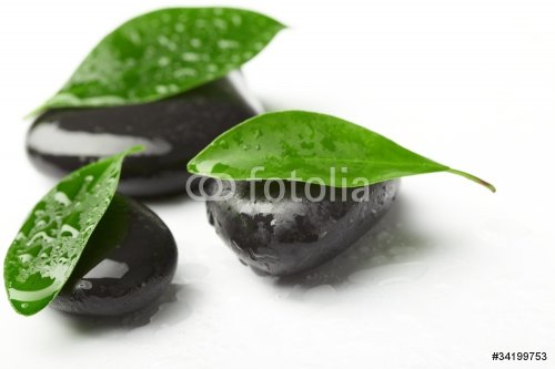 black stones and green leaves - 901139587