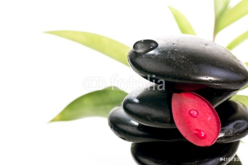 Black zen stones with a red petal with bamboo background - 901140932